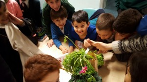 20151208 183636 resized