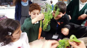 20151208 183745 resized